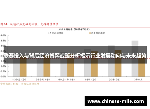 联赛投入与背后经济博弈战略分析揭示行业发展动向与未来趋势