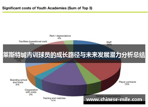 莱斯特城青训球员的成长路径与未来发展潜力分析总结 莱斯特城青训球员的成长路径与未来发展潜力分析总结