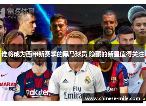 谁将成为西甲新赛季的黑马球员 隐藏的新星值得关注 谁将成为西甲新赛季的黑马球员 隐藏的新星值得关注