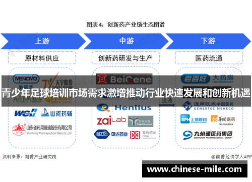 青少年足球培训市场需求激增推动行业快速发展和创新机遇