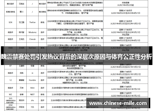 魏震禁赛处罚引发热议背后的深层次原因与体育公正性分析