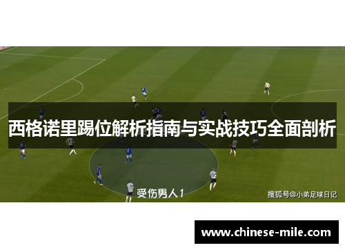 西格诺里踢位解析指南与实战技巧全面剖析 西格诺里踢位解析指南与实战技巧全面剖析