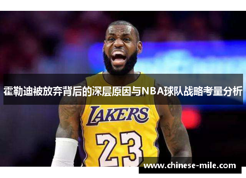 霍勒迪被放弃背后的深层原因与NBA球队战略考量分析 霍勒迪被放弃背后的深层原因与NBA球队战略考量分析